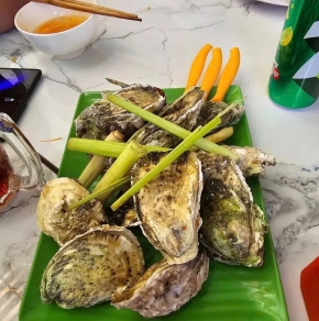 HÀU SỮA HẤP XẢ